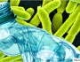 Bacteris que “mengen” plàstic